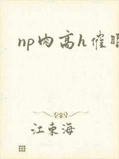np肉高h催眠