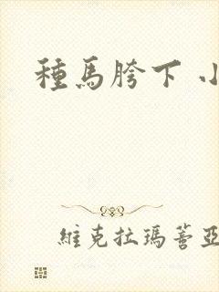 种马胯下 小说