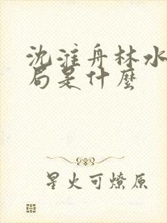 沈淮舟林水伊结局是什么