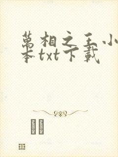 万相之王小说全本txt下载