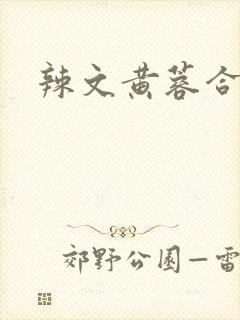 辣文黄蓉合集