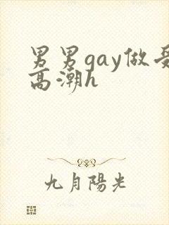 男男gay做受高潮h