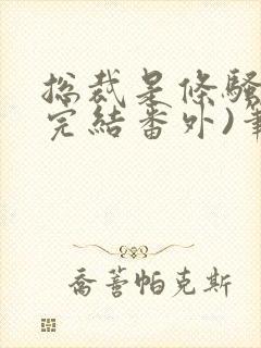 总裁是条骚狗(完结番外)笔趣阁双男主封面