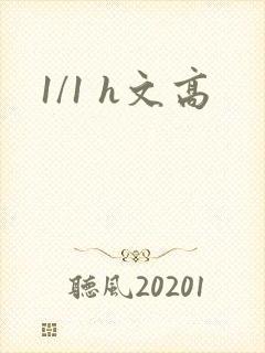 1/1 h文高