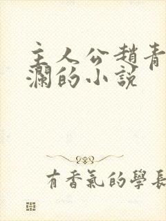 主人公赵青林安澜的小说