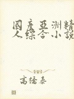 国产亚洲精品成人综合小说