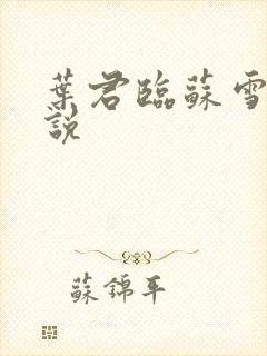 叶君临苏雪儿小说