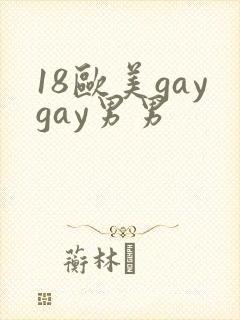 18欧美gaygay男男