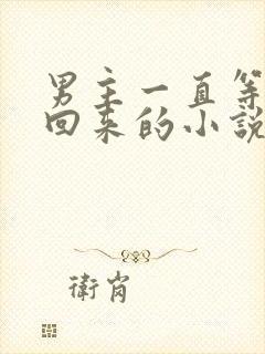 男主一直等女主回来的小说