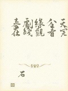 泰剧缘分天注定在线观看完整免费封面