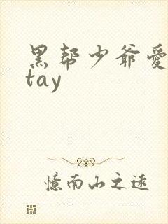 黑帮少爷爱上我tay封面