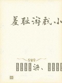羞耻游戏小说