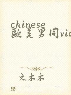 chinese欧美男同videos封面