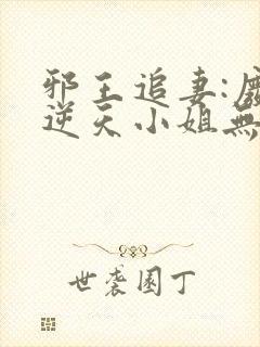 邪王追妻:废材逆天小姐无弹窗