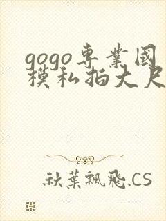 gogo专业国模私拍大尺度