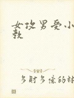 女攻男受小说调教