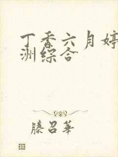 丁香六月婷婷亚洲综合