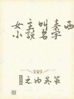 女主叫秦西流的小说名字
