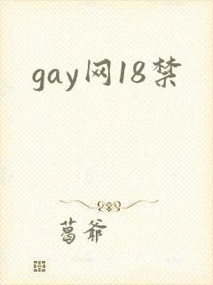 gay网18禁