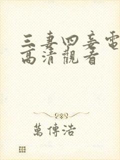 三妻四妾电视剧高清观看