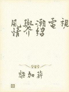 风与潮电视剧剧情介绍
