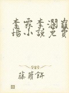 李霖李澜巅峰官场小说免费阅读
