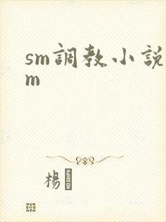 sm调教小说女m