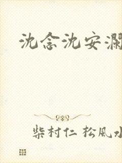 沈念沈安澜小说