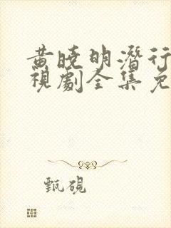 黄晓明潜行者电视剧全集免费观看封面