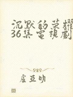 沉默的荣耀1—36集电视剧在线观看封面