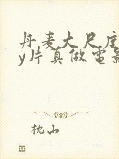丹麦大尺度gay片真做电影