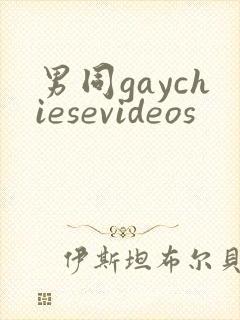 男同gaychiesevideos封面