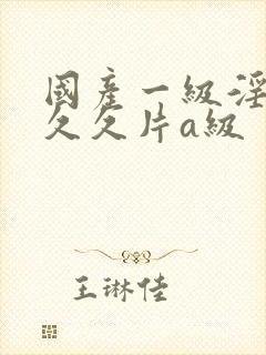 国产一级淫片久久久片a级封面