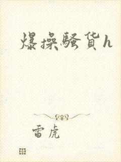 爆操骚货h封面