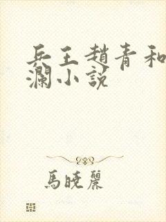兵王赵青和林安澜小说