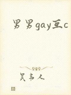 男男gay互c
