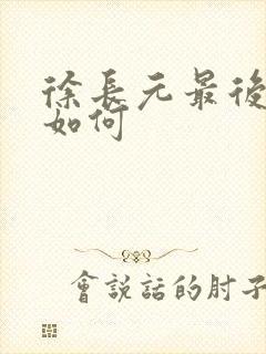 徐长元最后结局如何封面