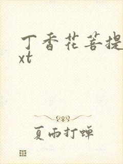 丁香花菩提树txt
