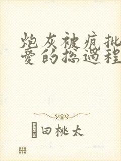 炮灰被疯批强制爱的总过程np