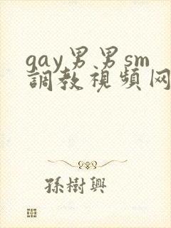 gay男男sm调教视频网站