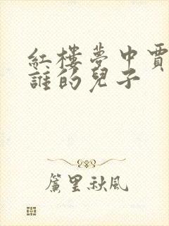 红楼梦中贾瑞是谁的儿子