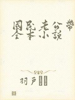 国民老公带回家全本小说