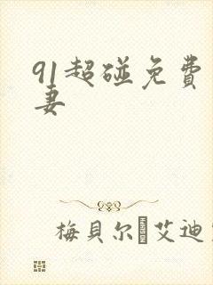 91超碰免费人妻封面