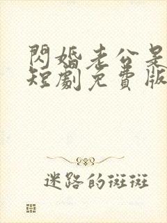 闪婚老公是总裁短剧免费版