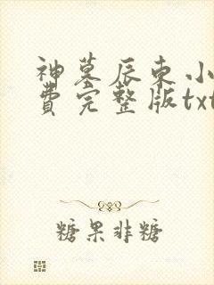 神墓辰东小说免费完整版txt