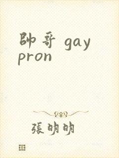 帅哥 gay pron