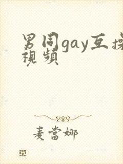 男同gay互操视频