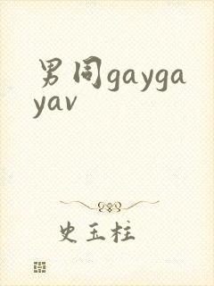 男同gaygayav