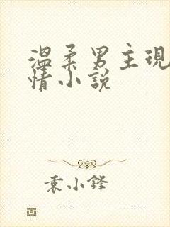 温柔男主现代言情小说