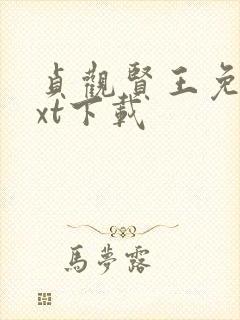 贞观贤王免费txt下载封面